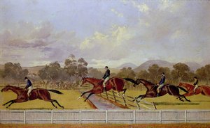 A Steeplechase