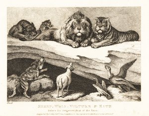 A Courtcase Between Animals, with Lion and Tiger as Judges by Samuel Howitt