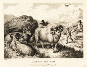 A jackdaw sings on the back of a ram by Samuel Howitt