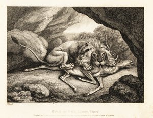 A lion eating the carcass of a stag in a cave by Samuel Howitt