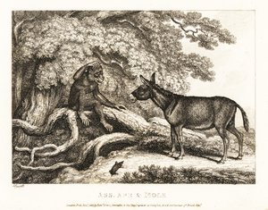 A Monkey and a Donkey Moan Until a Mole Silences Them by Samuel Howitt