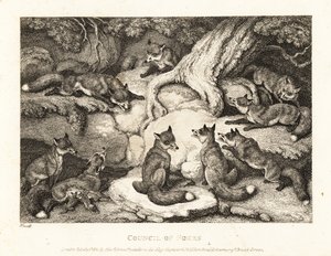 A pack of foxes meeting in a forest by Samuel Howitt