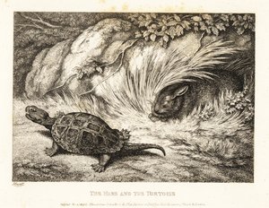 A Tortoise Overtakes a Sleeping Hare in a Race by Samuel Howitt