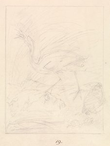 Crane and Frogs by Samuel Howitt