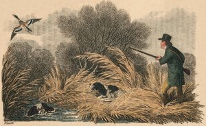Duck Shooting