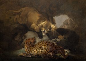 Lion and a Leopard