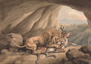 Lion Attacking a Stag