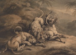 Lion and Lioness Attacking a Steer by Samuel Howitt