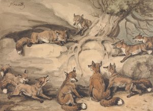 Nine Foxes Gathered Around a Tree: an Illustration of Aesop
