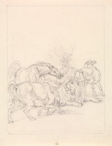 Old Lion Insulted