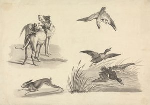 Sheet of Studies of Hounds, Hare, Falcon and Ducks by Samuel Howitt