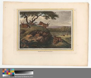 The Rabbit by Samuel Howitt