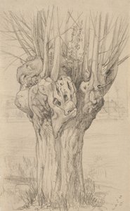 Gnarled tree by Samuel Isham