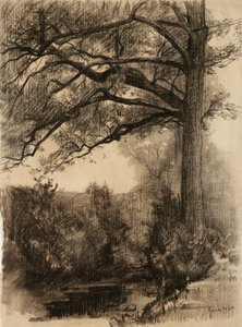 Landscape with large tree by Samuel Isham
