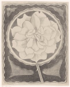 Rose by Samuel Jessurun de Mesquita (signed by artist)