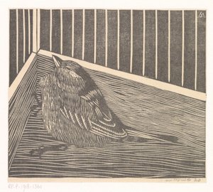 Bird in the Corner of a Cage