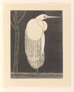Great Egret