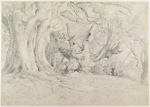 Ancient Trees, Lullingstone Park, 1828 by Samuel Palmer