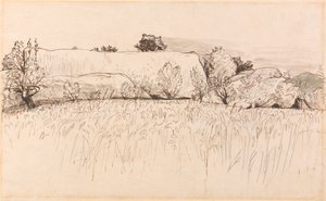 Cornfields with Barn, Shoreham by Samuel Palmer