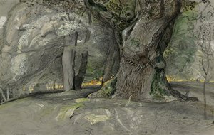 Oak Tree and Beech, Lullingstone Park