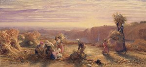 Sunset over the Gleaning Fields