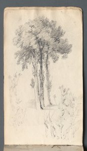 Sketchbook: Tree Study by Samuel Prout