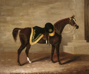 Copenhagen, the Charger of the Duke of Wellington at Waterloo by Samuel Spode