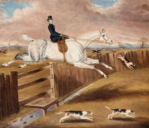 Over the Fence by Samuel Spode
