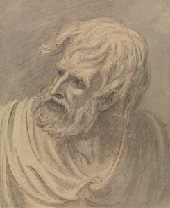 Head of a Man with a Beard Looking to the Left