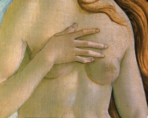 The Birth of Venus
