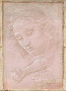 Head of a Youth Wearing a Cap; a Right Forearm with the Hand Clutching a Stone; and a Left Hand Holding a Drapery by Sandro Botticelli