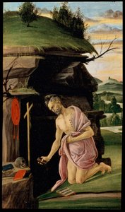 Saint Jerome