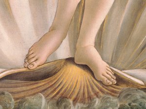 The Birth of Venus