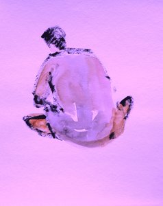 Abstract Figure Study