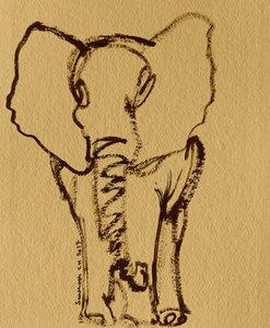 Baby Elephant Sketch
