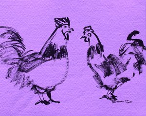 Bold Roosters Sketch