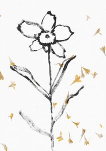 Delicate Flower Sketch by Santhosh ch