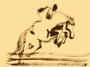 Dynamic Equestrian Jump by Santhosh ch