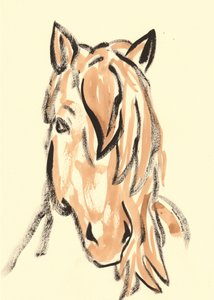 Dynamic Horse Head by Santhosh ch