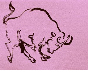 Dynamic Ink Bull