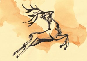 Dynamic Jumping Stag by Santhosh ch