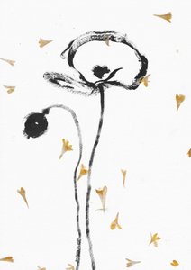 Elegant Black Poppies by Santhosh ch
