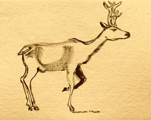 Elegant Woodland Stag