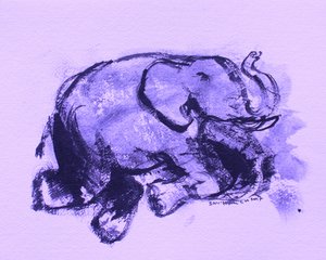 Elephant 42