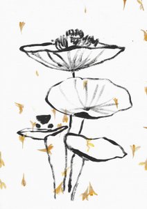 Falling Golden Lotus by Santhosh ch