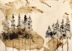Forest Serenity