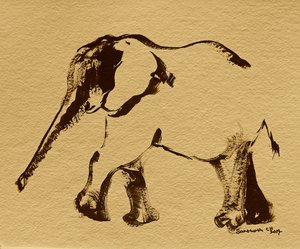 Gentle Elephant Study
