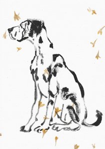 Gentle Great Dane and Flowers