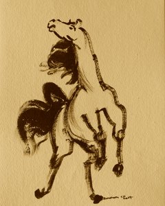 Horse 24