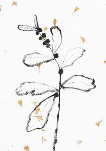 Minimalist Botanical Sketch by Santhosh ch